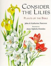 Consider the lilies by Paterson, John
