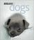 Cover of: Dogs