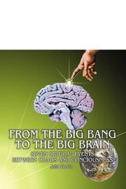 Cover of: From the Big Bang to the Big Brain