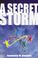 Cover of: A Secret Storm