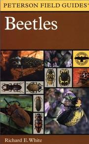 Cover of: Beetles  by Richard E. White, Peterson
