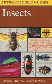 Cover of: A Field Guide to Insects by 