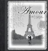 Cover of: Amour Record Book
