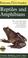 Cover of: Peterson First Guide to Reptiles and Amphibians