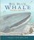 Cover of: Big Blue Whale (Read & Wonder)