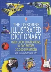Cover of: The Usborne Illustrated Dictionary (Usborne Illustrated Dictionaries)