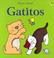 Cover of: Gatitos (Big Touchy-Feely)