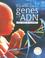 Cover of: El Gran Libro De Los Genes y El ADN/The Big Book of Genes and DNA