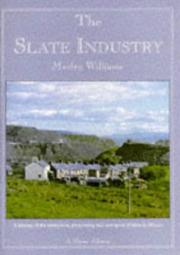 Cover of: The Slate Industry