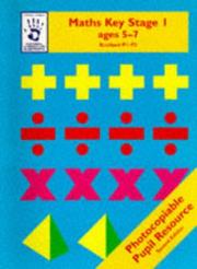 Maths Key Stage 1 by Wendy Clemson, David Clemson