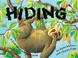 Cover of: Hiding (Wonderwise)