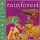 Cover of: Rainforest (Worldwise)