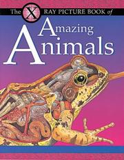 Cover of: X Ray Picture Book of Amazing Animals (X Ray) by Gerald Legg, Kathryn Senior