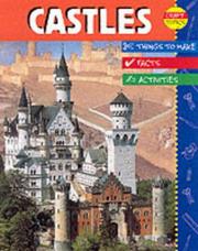 Cover of: Castles (Craft Topics) by Rachel Wright