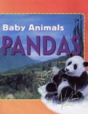 Cover of: Baby Animals:Pandas