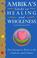 Cover of: Ambika's Guide to Healing and Wholeness