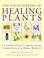 Cover of: The Encyclopedia of Healing Plants