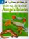 Cover of: Amphibians (What's the Difference?)
