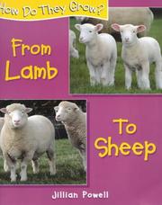 Cover of: Lamb to Sheep (How Do They Grow?) by Jillian Powell