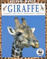 Cover of: Giraffe (Natural World)