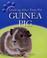 Cover of: Guinea Pig (Looking After Your Pet)