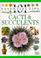 Cover of: Cacti and Succulents