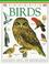 Cover of: Birds (Pockets)