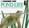 Cover of: Pond (Look Closer)