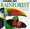 Cover of: Rainforest (Look Closer)