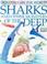 Cover of: Shark (Windows on the World)