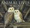 Cover of: Barn Owl (Animal Lives)