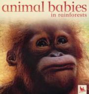 Cover of: Animal Babies in Rainforests (Animal Babies)