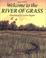 Cover of: Welcome to the River of Grass