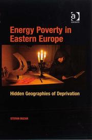 Cover of: Energy Poverty in Eastern Europe | Stefan Buzar