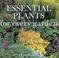 Cover of: Essential Plants for Every Garden