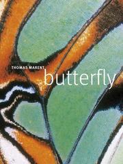 Cover of: Butterfly by Ben Morgan