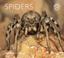 Cover of: Spiders (WorldLife Library)