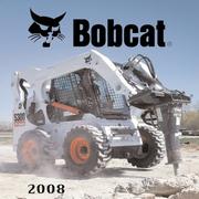 Cover of: Bobcat 2008 Calendar by Michael Karl Witzel