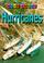 Cover of: Read About Hurricanes