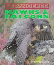 Cover of: Hawks & Falcons (Endangered) by John Woodward