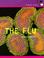 Cover of: The Flu (Health Aleart)