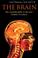 Cover of: The Britannica Guide to the Brain