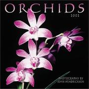 Cover of: Orchids 2002 Wall Calendar