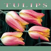 Cover of: Tulips 2002 Wall Calendar