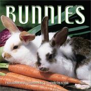 Cover of: Bunnies 2002 Mini Wall Calendar