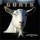 Cover of: Goats 2002 Wall Calendar
