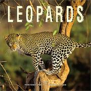 Cover of: Leopards 2002 Wall Calendar by Denver Bryan