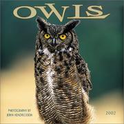 Cover of: Owls 2002 Wall Calendar