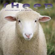 Cover of: Sheep 2002 Wall Calendar by David Lorenz Winston
