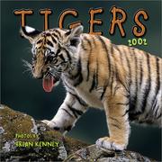 Cover of: Tigers 2002 Mini Wall Calendar